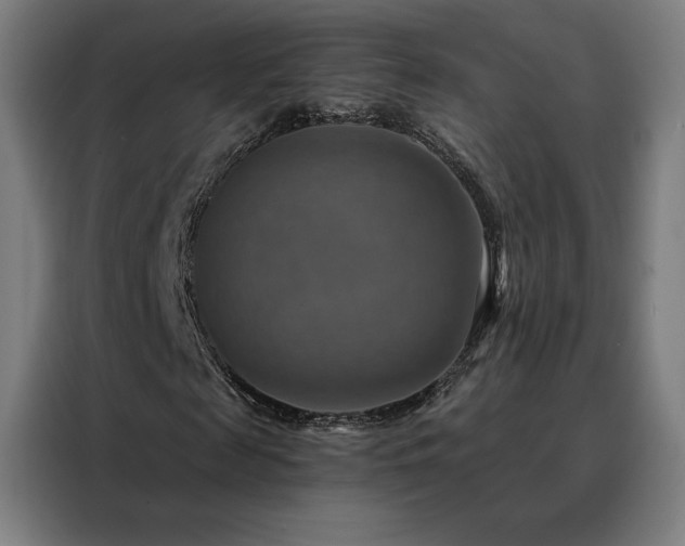 X0000088390817200705221112