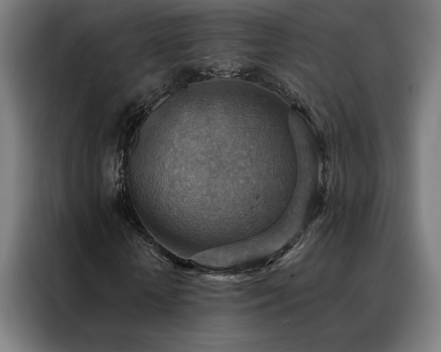 X0000088390818200705221112