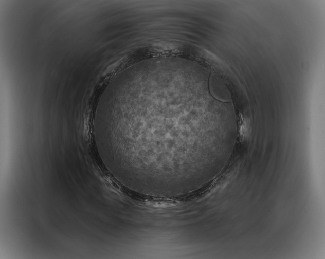 X0000088390819200705221112