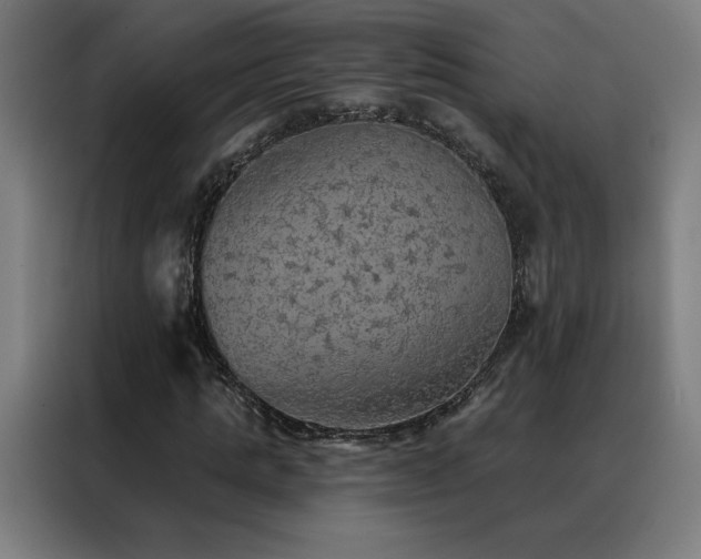 X0000088390821200705221112