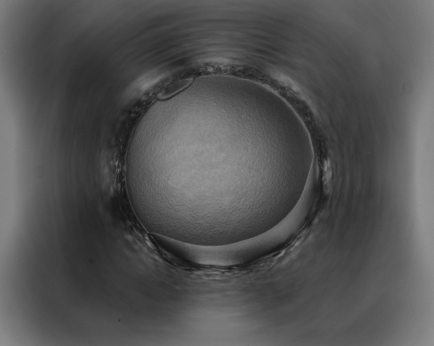 X0000088390822200705221112