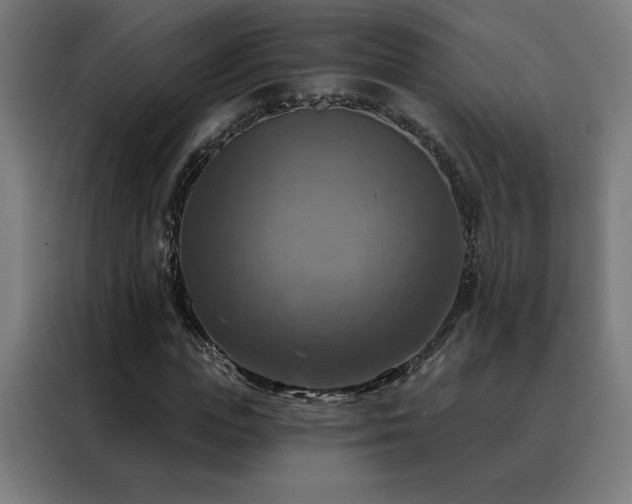 X0000088390823200705221112