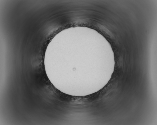 X0000088390824200705221112