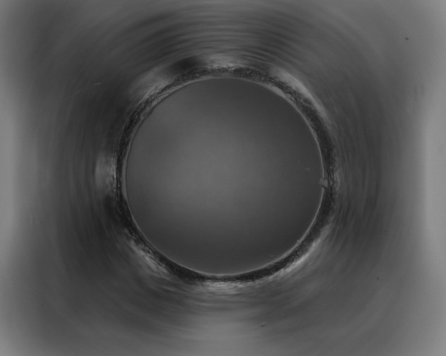 X0000088390825200705221112