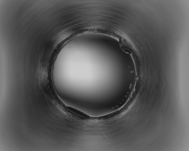 X0000088390826200705221112