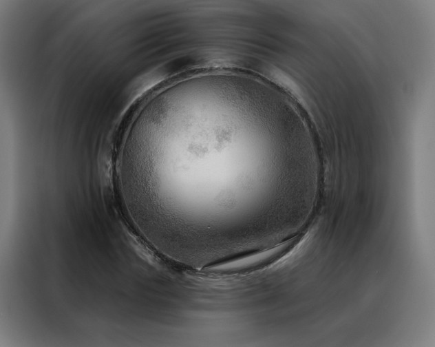 X0000088390827200705221112