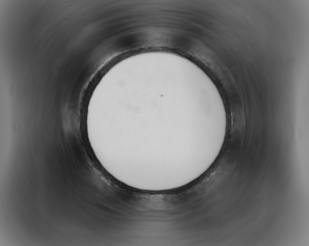 X0000088390828200705221112