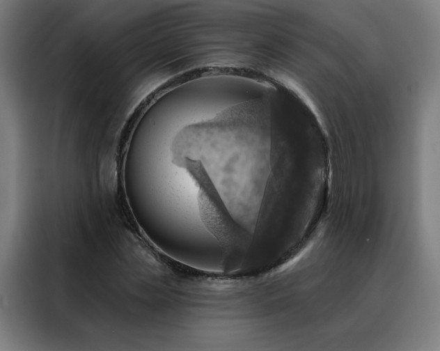 X0000088390829200705221112