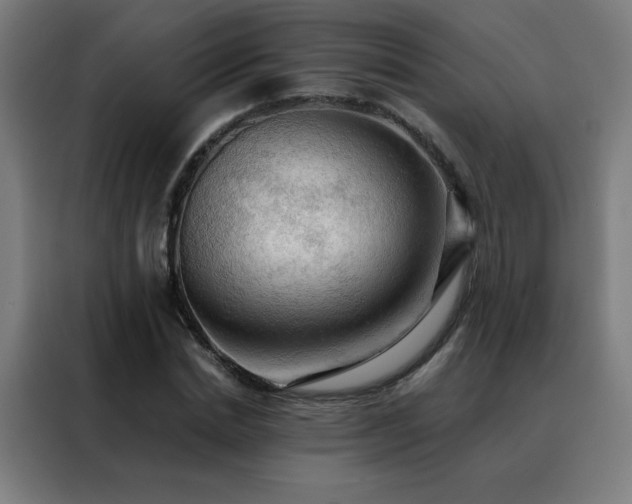 X0000088390830200705221112