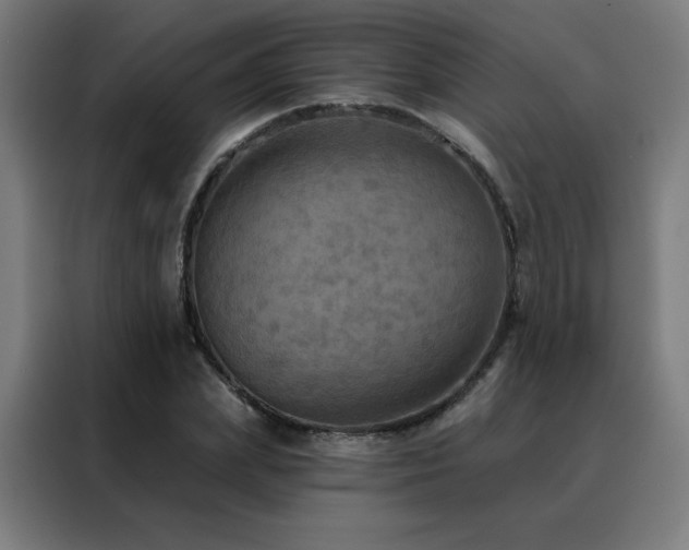 X0000088390831200705221112