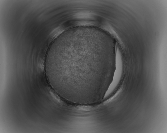 X0000088390833200705221112