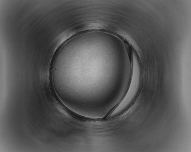 X0000088390834200705221112