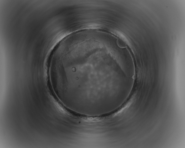 X0000088390835200705221112