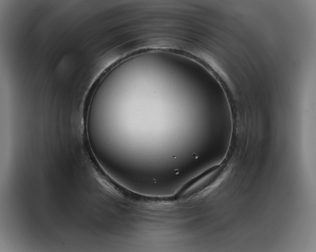 X0000088390837200705221112