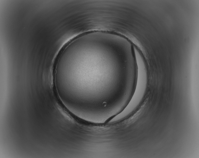 X0000088390838200705221112