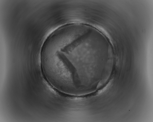 X0000088390839200705221112