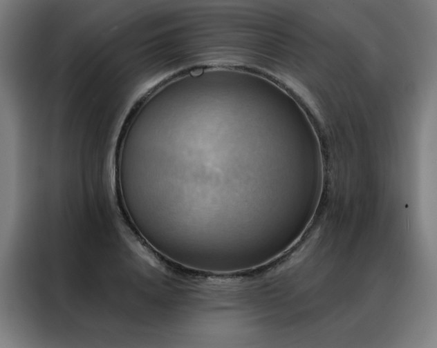 X0000088390840200705221113