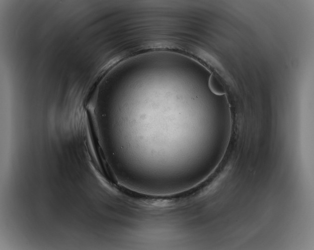 X0000088390841200705221113