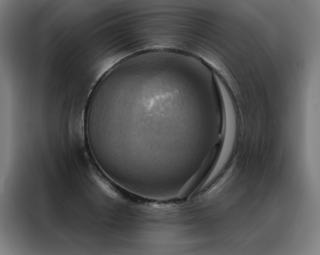 X0000088390842200705221113