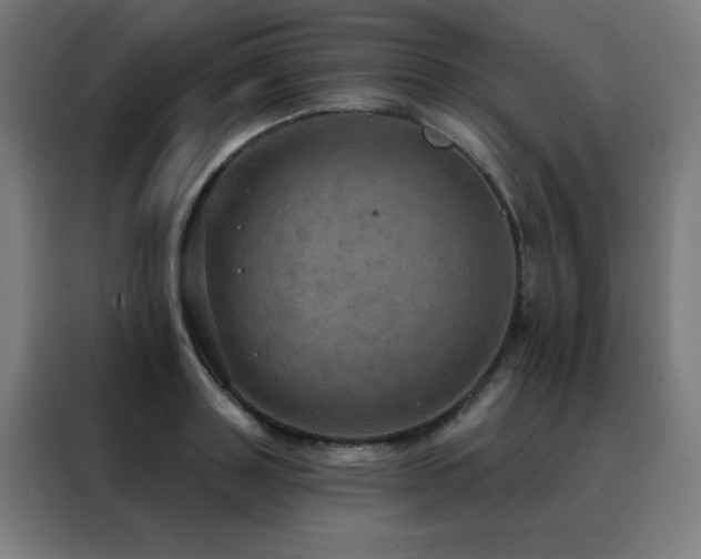 X0000088390843200705221113