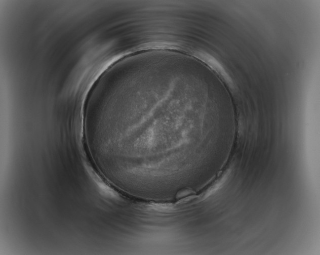 X0000088390844200705221113