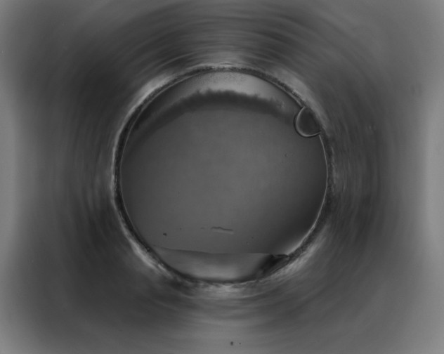 X0000088390845200705221113