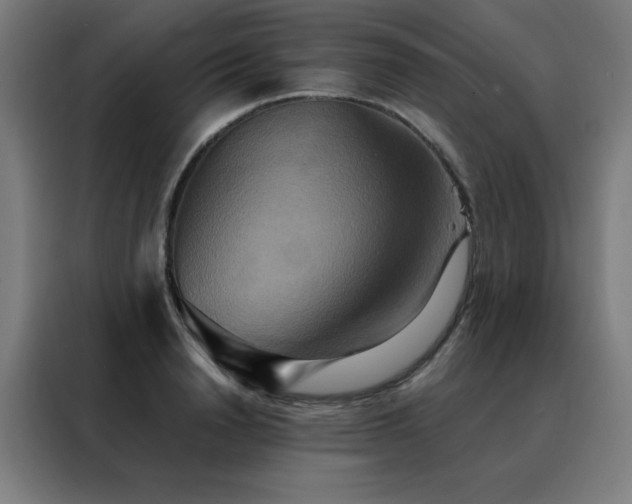 X0000088390846200705221113