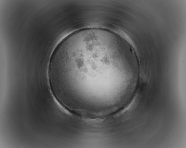 X0000088390847200705221113