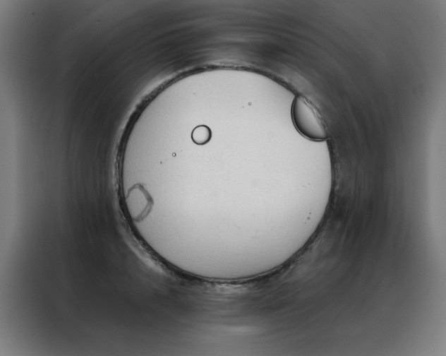 X0000088390848200705221113