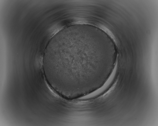 X0000088390849200705221113