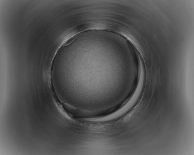 X0000088390850200705221113