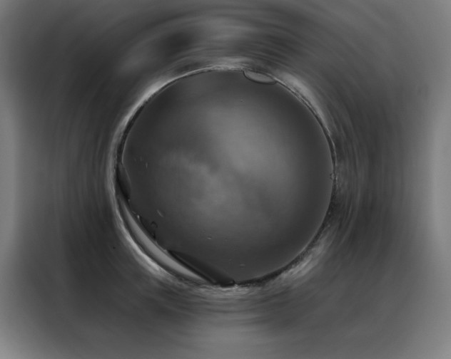 X0000088390851200705221113