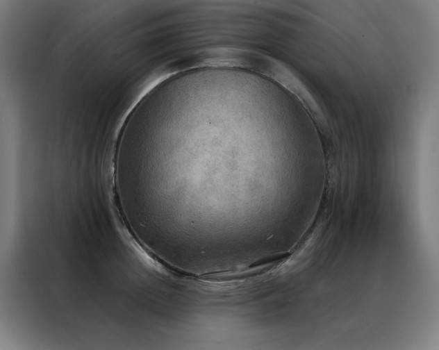 X0000088390852200705221113