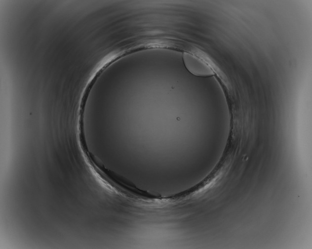 X0000088390853200705221113