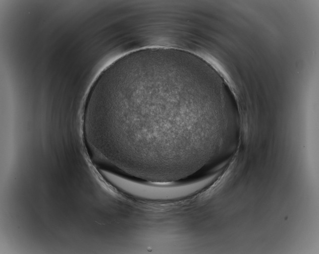 X0000088390854200705221113