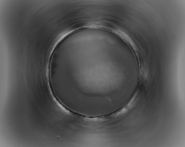 X0000088390855200705221113