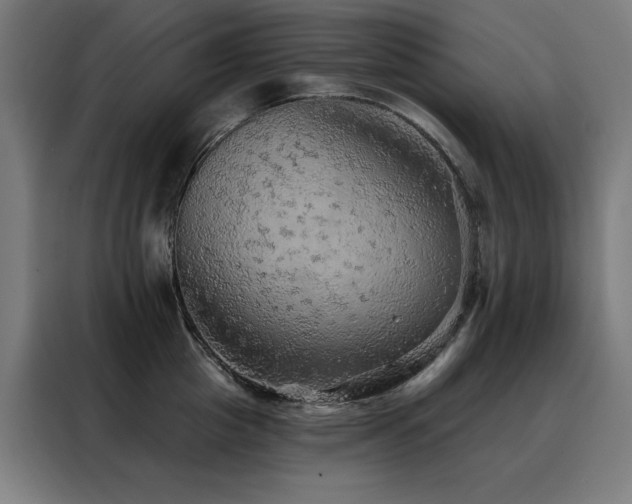 X0000088390857200705221113