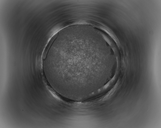 X0000088390858200705221113