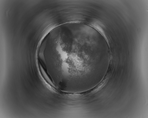 X0000088390859200705221113