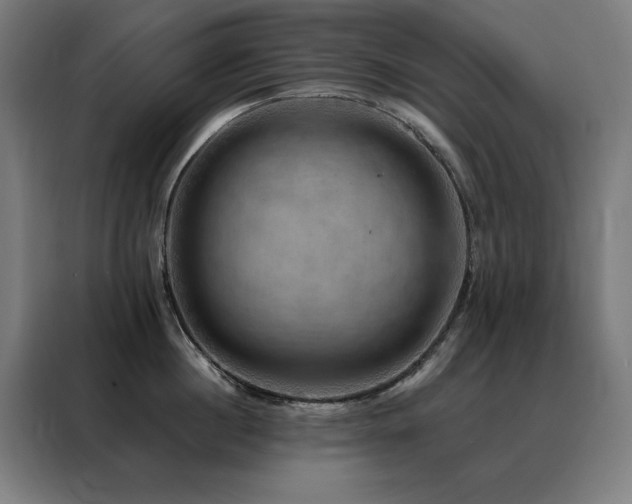 X0000088390860200705221113