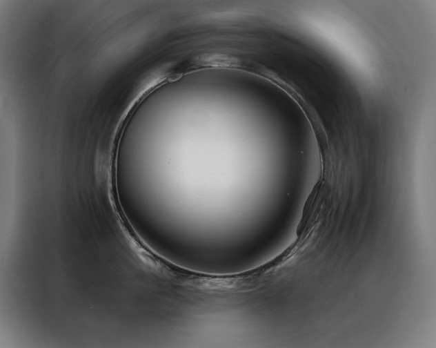 X0000088390861200705221113