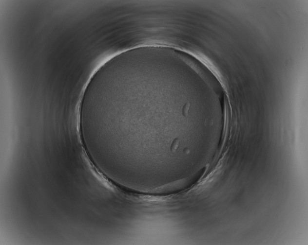 X0000088390862200705221113