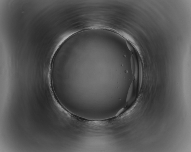 X0000088390863200705221113