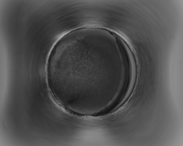 X0000088390864200705221113