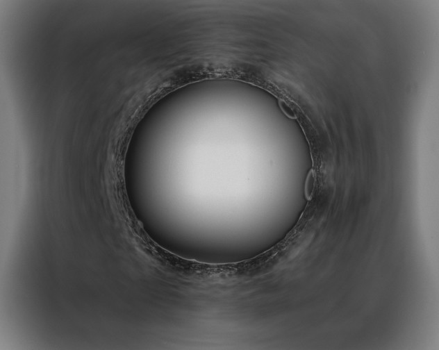 X0000088390865200705221112