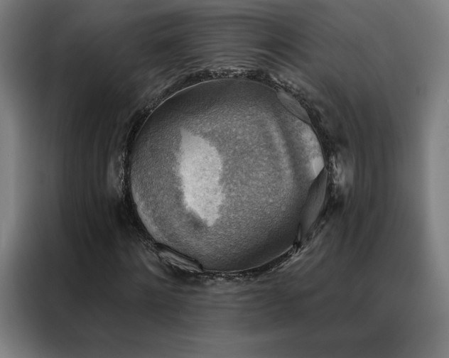 X0000088390868200705221112