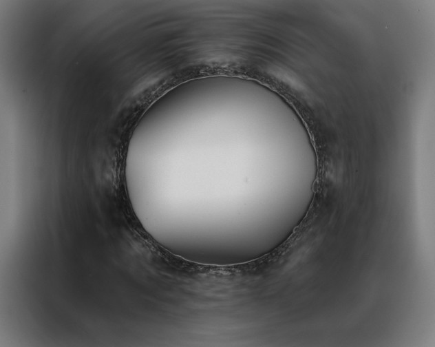 X0000088390869200705221112