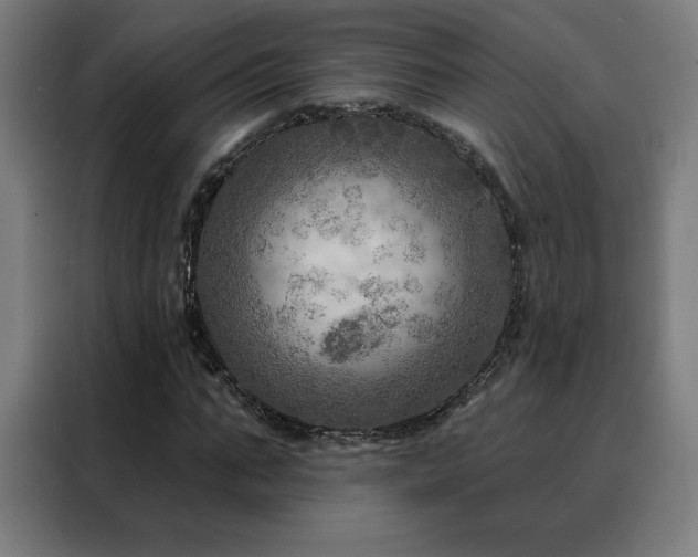 X0000088390871200705221112