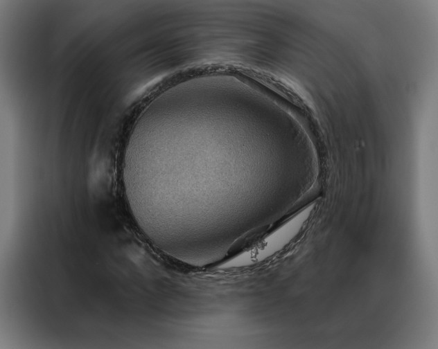 X0000088390872200705221112