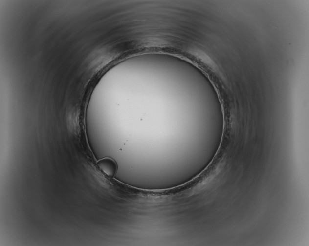 X0000088390873200705221112